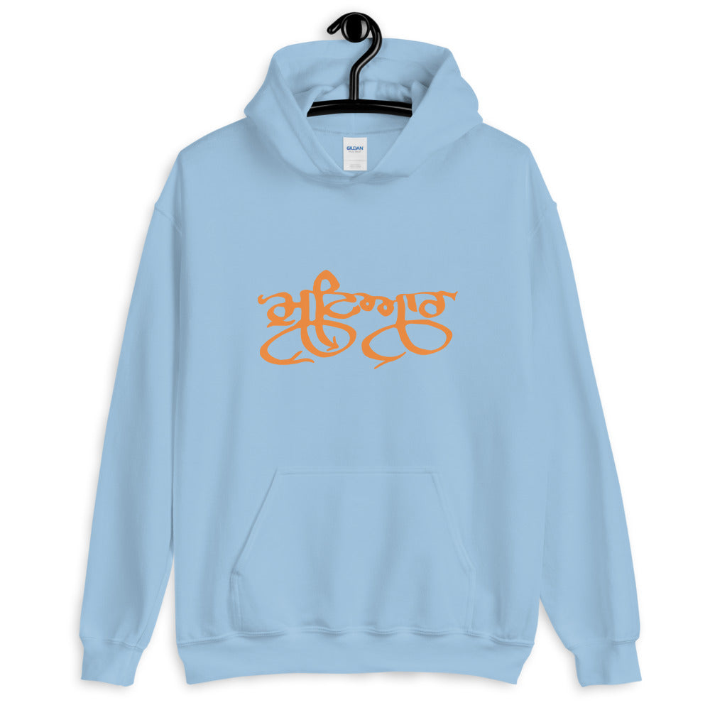 Punjabi Mutiyar Hoodie