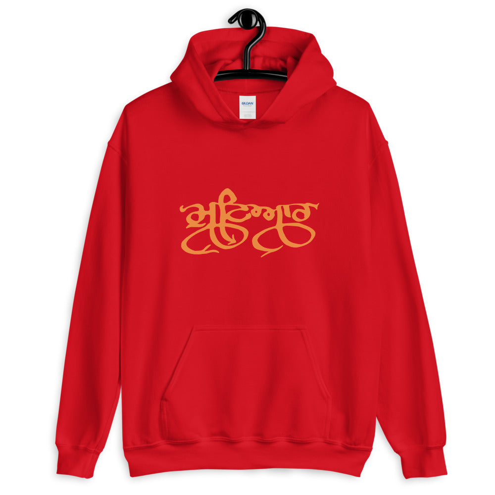 Punjabi Mutiyar Hoodie